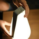 Portable USB-C Rechargeable Garden & Indoor Light B Bulb Weatherproof LED Lamp
