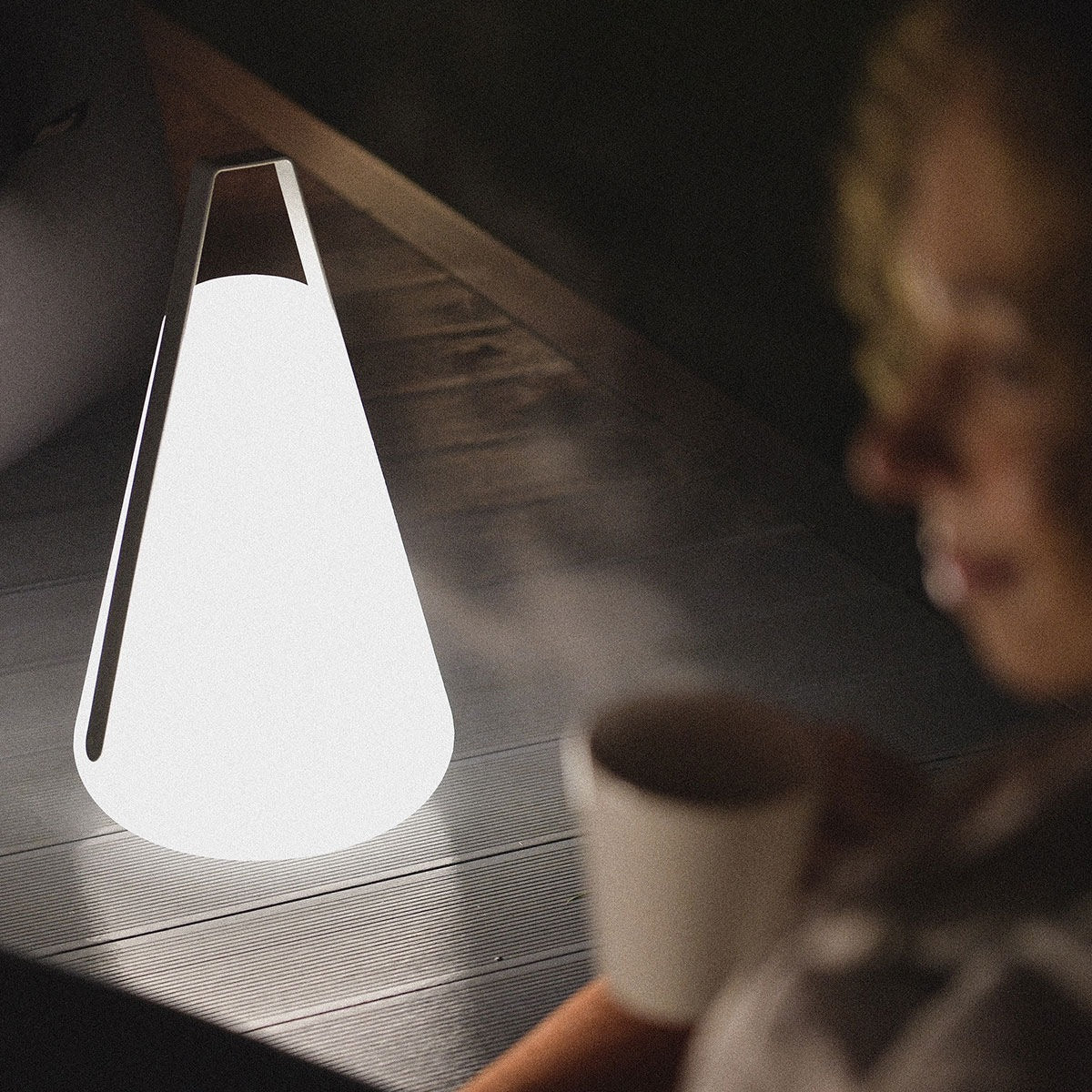 Portable USB-C Rechargeable Garden & Indoor Light B Bulb Weatherproof LED Lamp